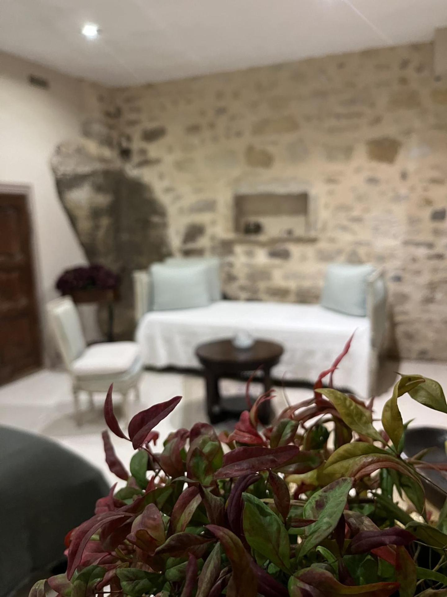 Le Logis D'Hortense Vic-le-Comte Dış mekan fotoğraf